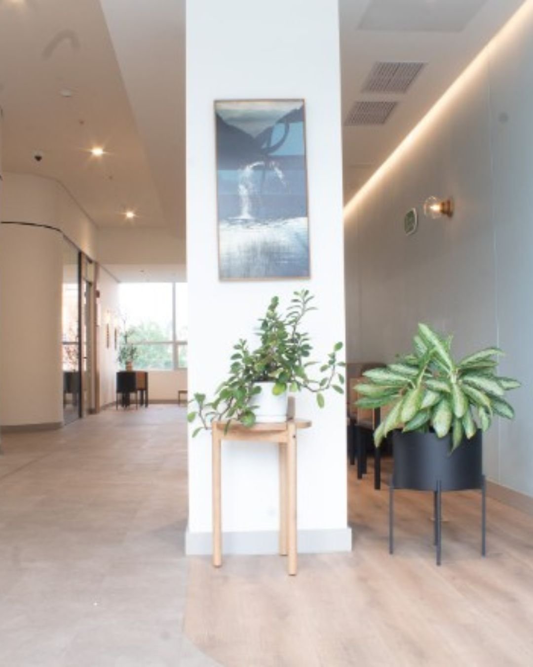 Private interior spaces at Clinica Be Dharma in El Poblado, Medellin