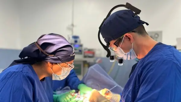 Plastic surgeon in Medellin, Colombia - Dr. David Delgado